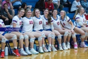 Volleyball - West Henderson Regional Finals (BR3_7081)