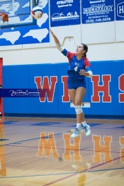 Volleyball - West Henderson Regional Finals (BR3_7190)