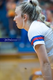 Volleyball - West Henderson Regional Finals (BR3_7275)