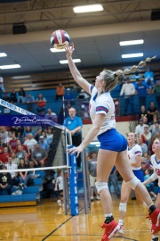 Volleyball - West Henderson Regional Finals (BR3_7282)