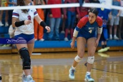 Volleyball - West Henderson Regional Finals (BR3_7452)