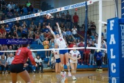 Volleyball - West Henderson Regional Finals (BR3_7458)