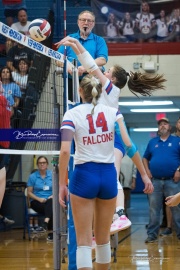 Volleyball - West Henderson Regional Finals (BR3_7538)