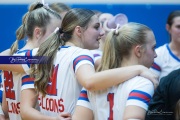 Volleyball - West Henderson Regional Finals (BR3_7611)