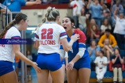 Volleyball - West Henderson Regional Finals (BR3_7891)