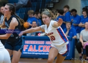 Basketball Enka at West Henderson (BR3_6384)