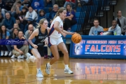 Basketball Enka at West Henderson (BR3_6514)