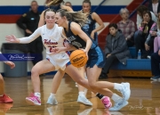 Basketball Enka at West Henderson (BR3_6554)