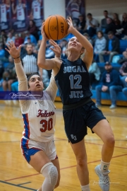 Basketball Enka at West Henderson (BR3_6875)