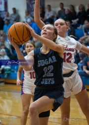 Basketball Enka at West Henderson (BR3_6906)