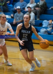 Basketball Enka at West Henderson (BR3_6927)