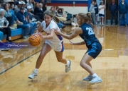 Basketball Enka at West Henderson (BR3_7110)