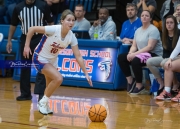 Basketball Enka at West Henderson (BR3_7127)