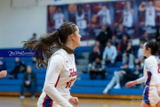 Basketball: Franklin at West Henderson