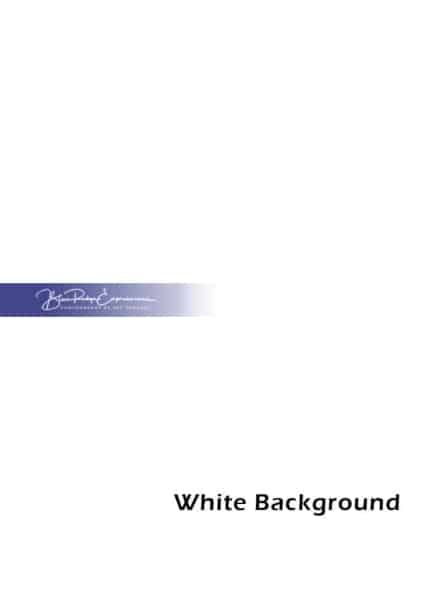 Plain White Background