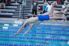 Swimming: Hendersonville and West Henderson_BRE_3233