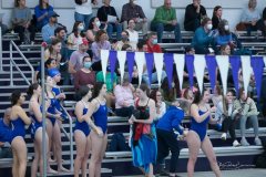 Swimming: Hendersonville and West Henderson_BRE_3373