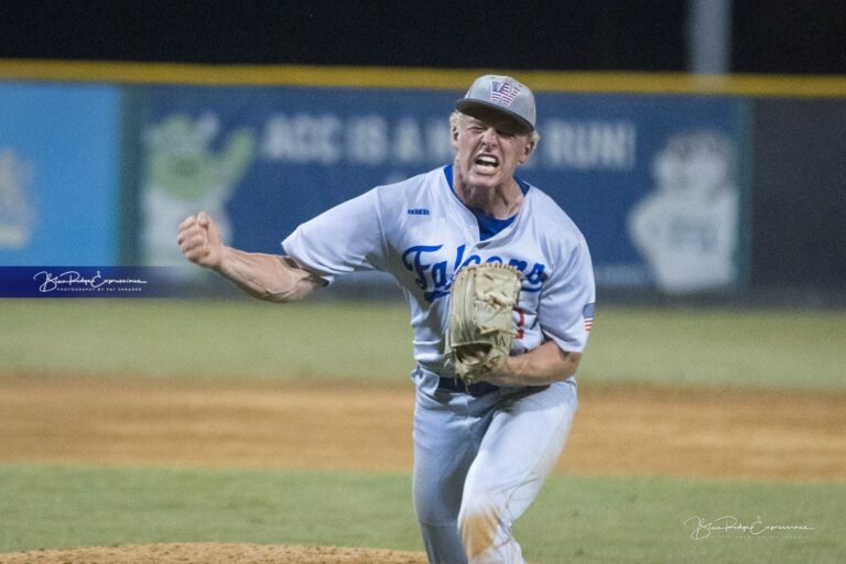 Champions: West Henderson Baseball Game 1