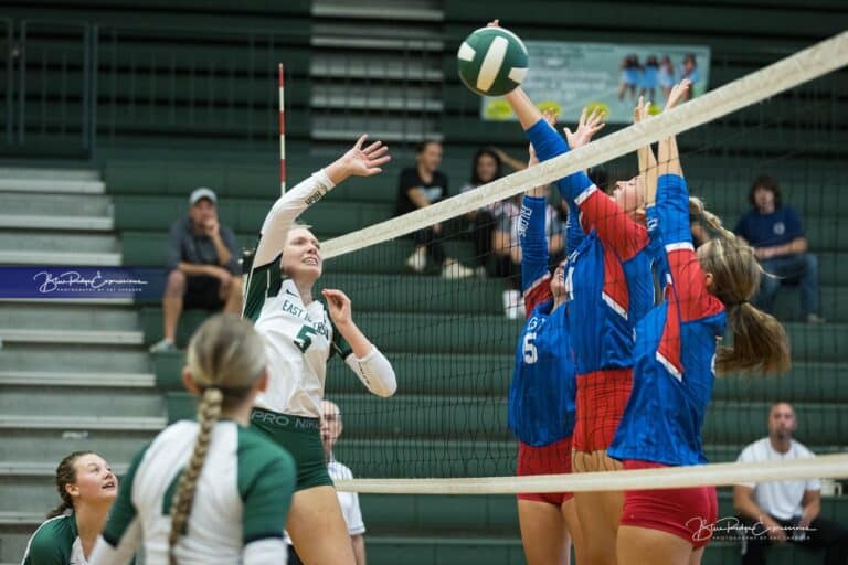 Battle of the Birds, Volleyball Edition